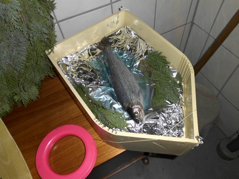DSCI0293_moeppel.JPG (81971 Byte)